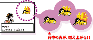 Cyndaquil Animation