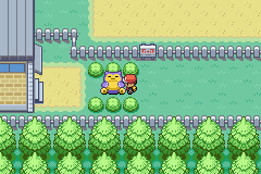 How To Get HM 02 Fly in Pokemon FireRed/LeafGreen