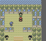 celadon gym