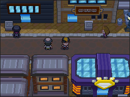 Pokémon Heart Gold & Soul Silver - Trainer House