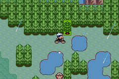How To Get Fly In Pokemon Emerald?