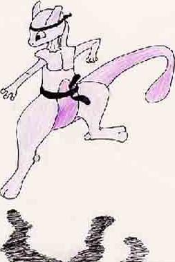 Blackbelt Mewtwo
Bee
