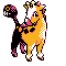 203.gif