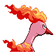 146.png