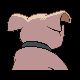 210.png