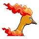 146.png