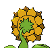 192.png