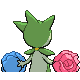 315f.png