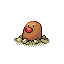 050.png