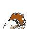 244.png