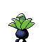 043.png