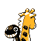 203.png